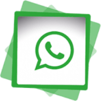 Fata cu Vioara - WhatsApp